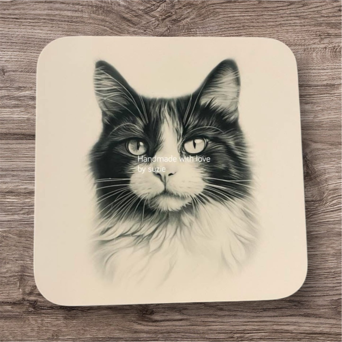 Sketchy cat coaster