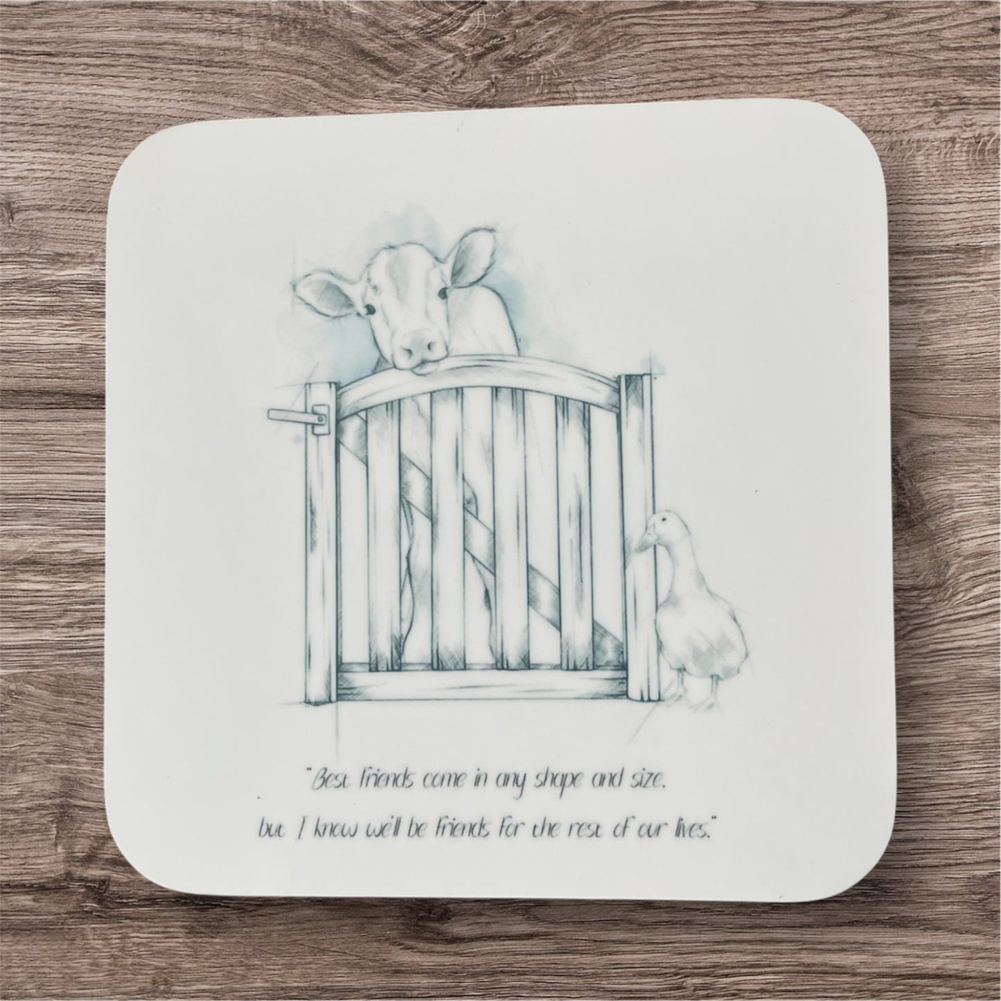 Coaster best friends come in any shape and size
