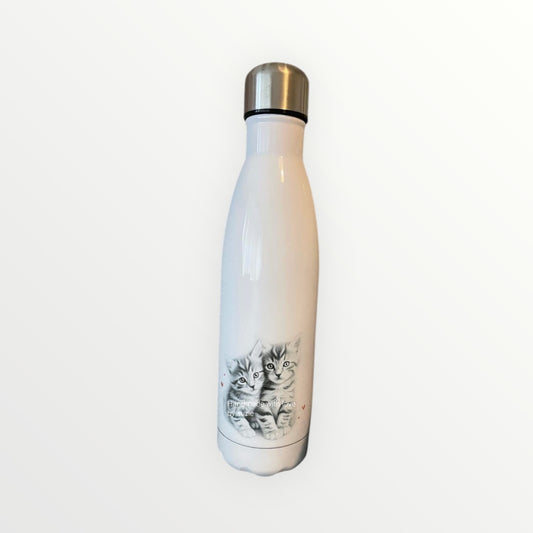 Sketchy kittens water bottle